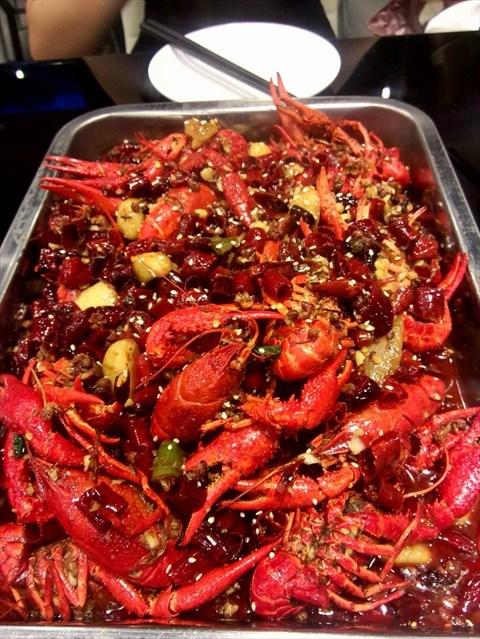 大范甘迪发.jpg